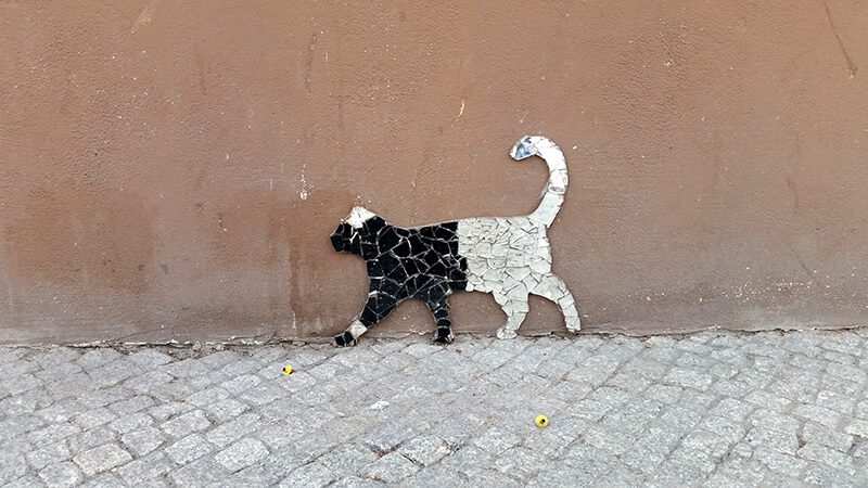 Płock Street art