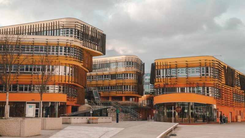 business-university-wieden