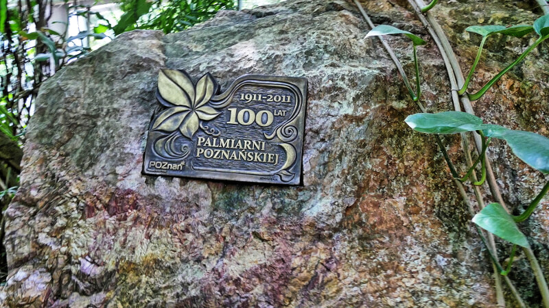 sto-lat-palmiarnia
