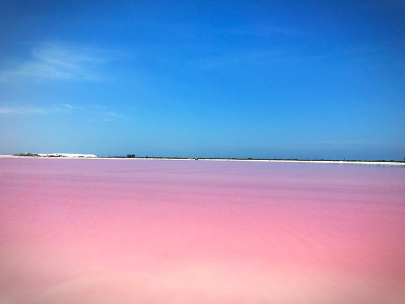 różowa woda w Meksyku