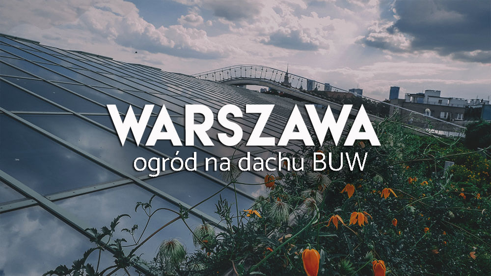 Atrakcje Warszawy - Dach BUW