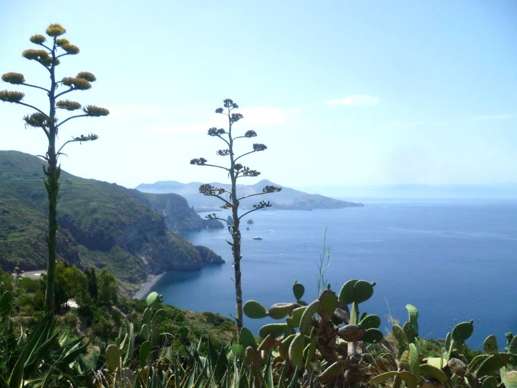 Wyspa Lipari - Sycylia roślinność